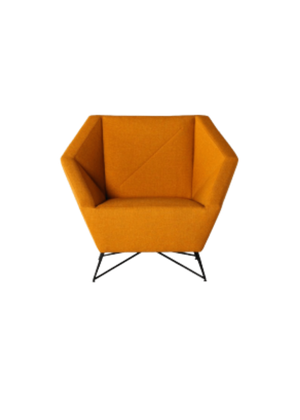 Elara Chic Designer Chair